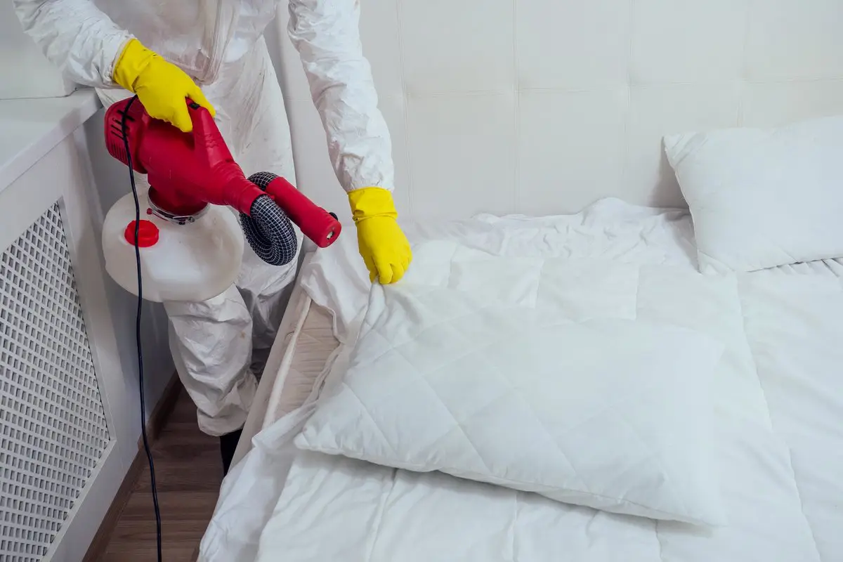 Termite Control